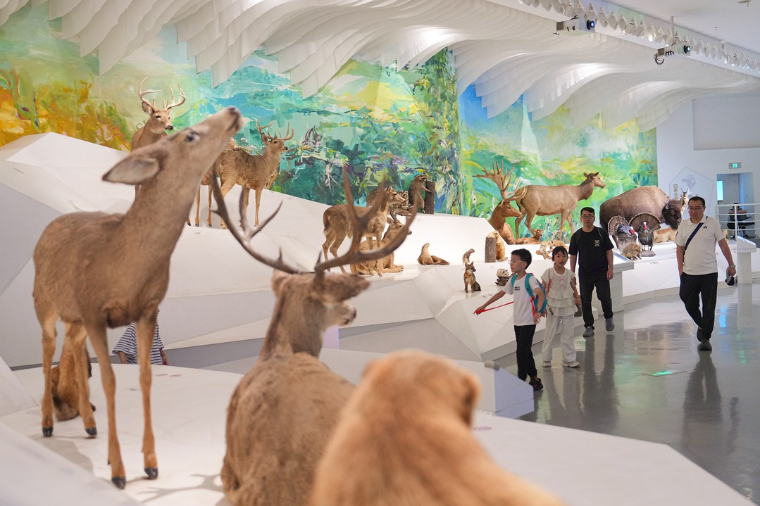 博物馆里度假期