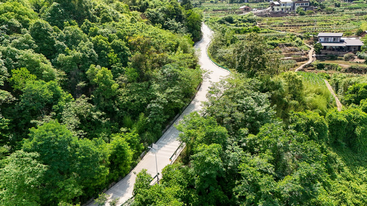 龙凤桥街道新装249盏太阳能路灯 照亮村民"回家路"