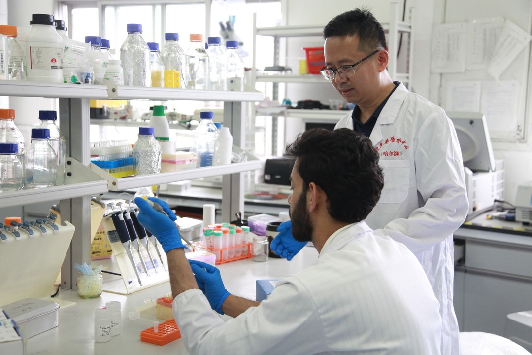 西南大学马铃薯病毒快检技术 入选国家“一带一路”减贫成果库