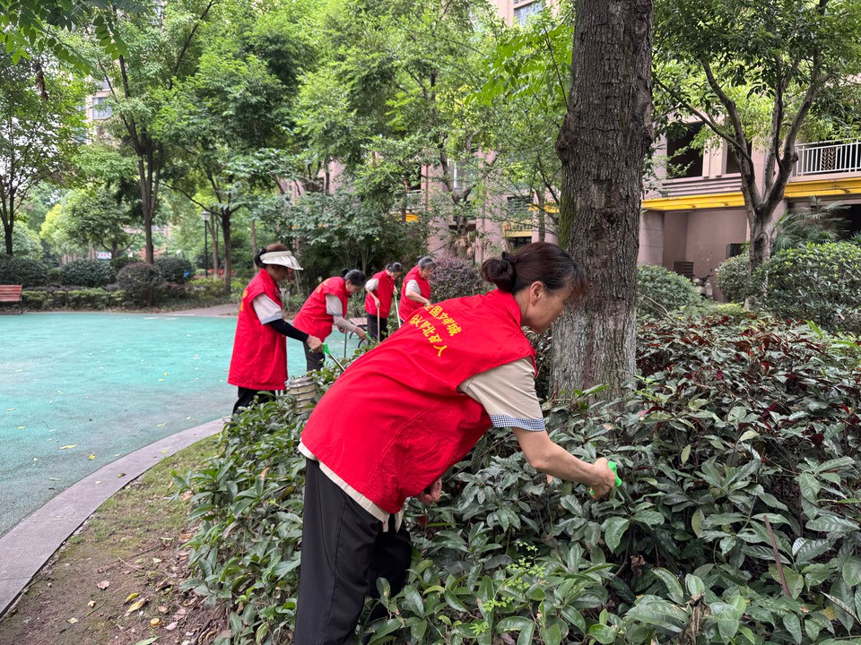 蔡家岗街道开展“六五环境日”主题活动 志愿者齐心守护绿色家园