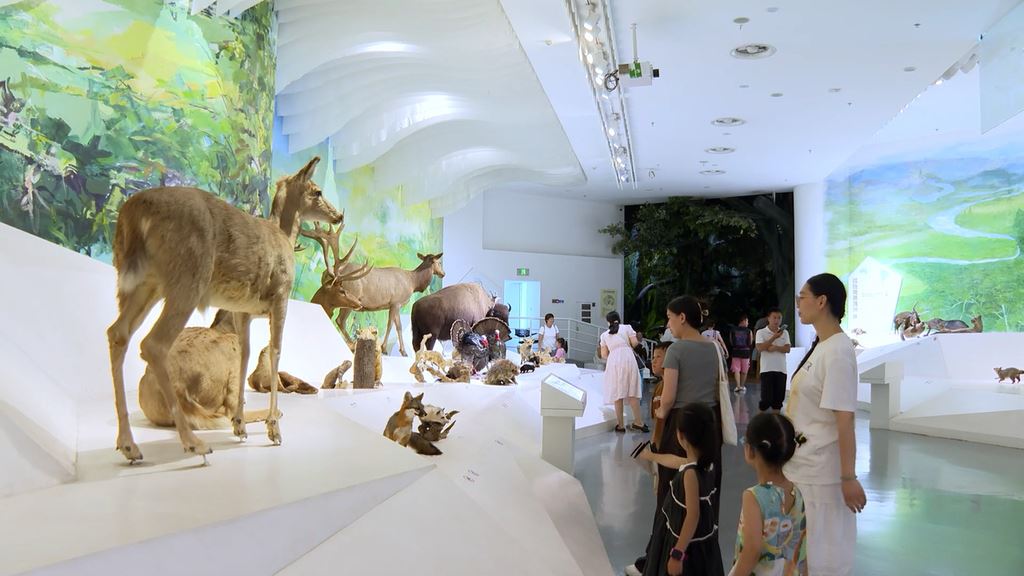 重庆自然博物馆暑期接待观众超20万人次 科普活动受热捧