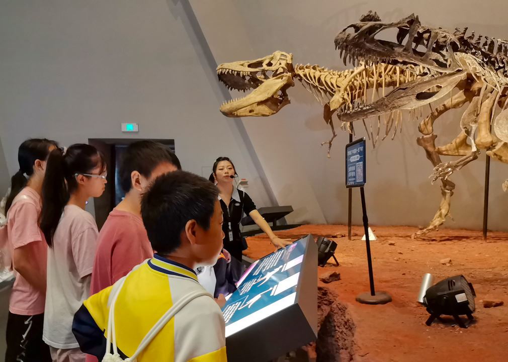 区妇联开展趣味科普活动 助力“家庭成长计划”落地