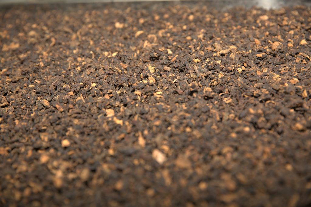 黄精变“黄金”——校地合作铺就北碚乡村振兴致富路