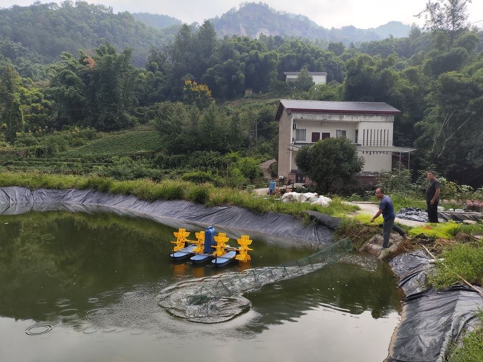 北碚：新一季南美白对虾抢“鲜”上市