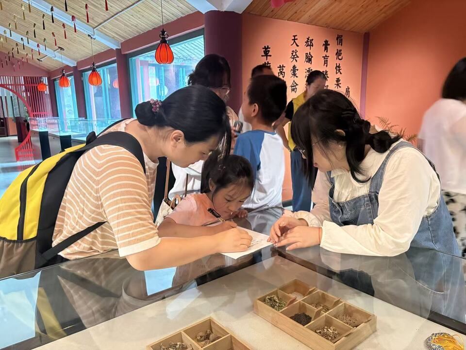 区民政局开展“本草小侠”主题研学实践活动