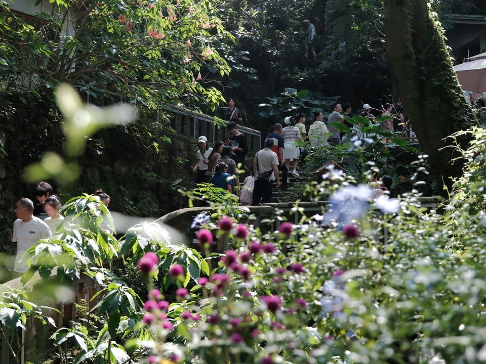 国庆中秋假期 金刚碑历史文化街区“打拥堂” 年轻人成消费主力军