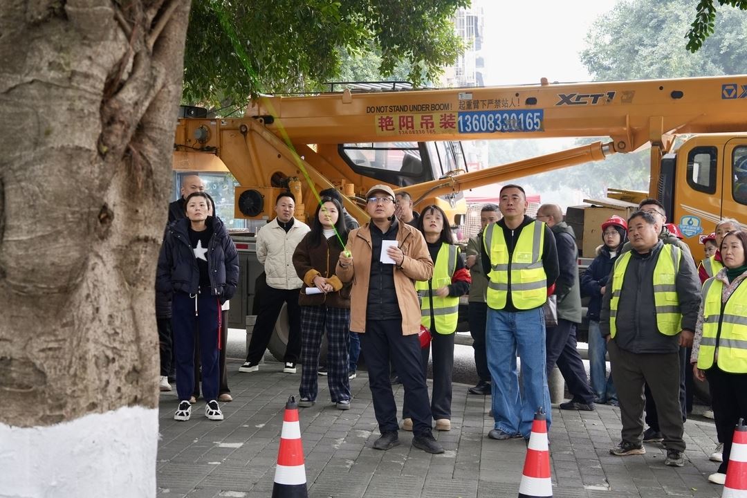 区城市管理局开展城市行道树修剪现场教学