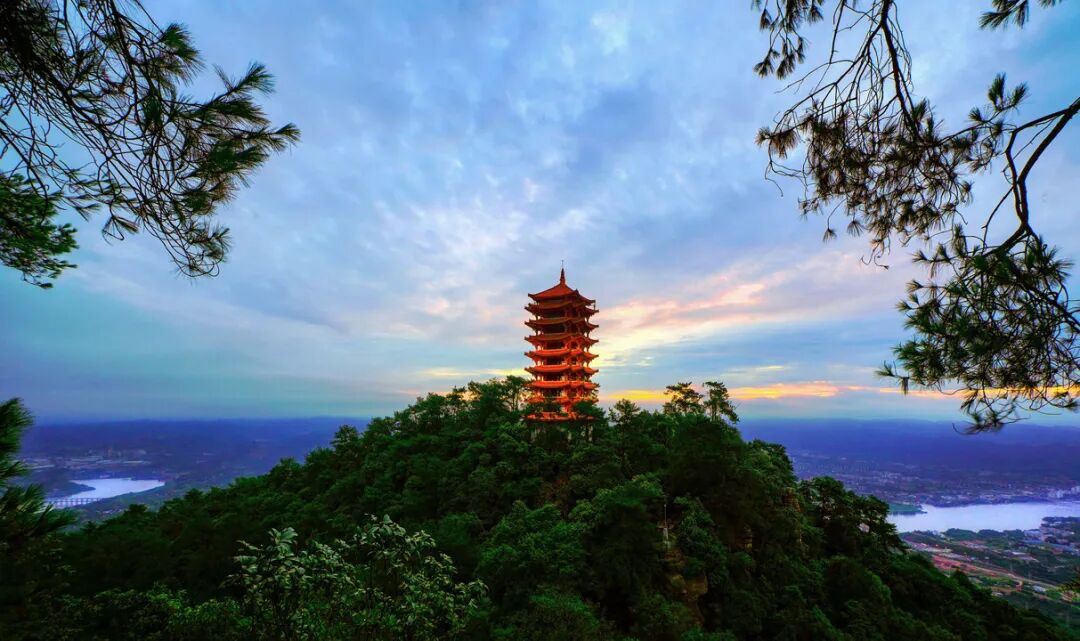 这份“生态答卷”,北碚“十四五”写得很扎实