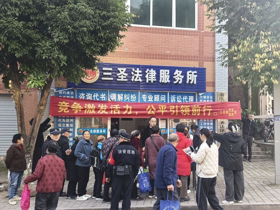 三圣镇开展依法统计宣传活动