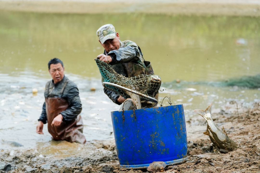 张飞古道度假酒店举办首届“家乡美，新春宴”品鱼活动 助力乡村文旅发展