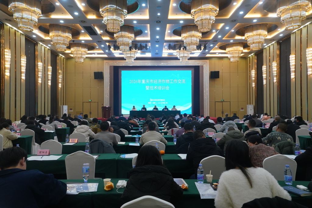 2026年重庆市经济作物工作交流暨技术培训会在碚举行