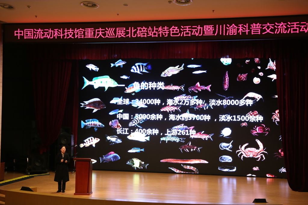 北碚：流动科技馆里“玩转”科学 川渝共搭科普桥