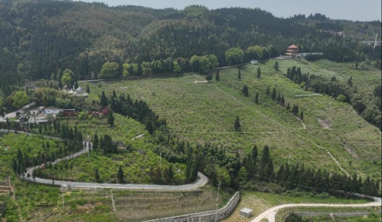 放牛坪村全域土地综合整治项目入选自然资源部典型案例