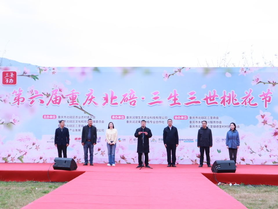 我区第六届三生三世桃花节开幕