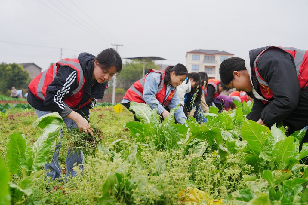 重庆北碚：春风送暖学雷锋 志愿服务溢乡村