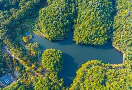 【十大主题精品游线】五一来北碚,跟着玩就对了!